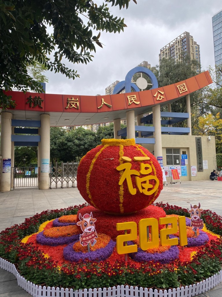 , An Expat in China – Reflection of 2020, SDE Seadragon Education