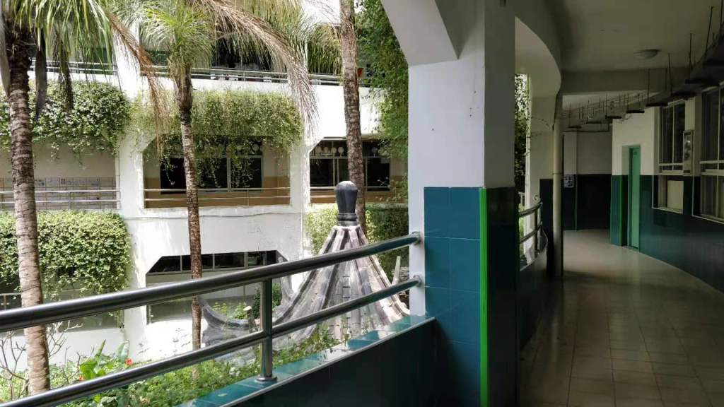 , TEFL China – A Teachers Perspective, SDE Seadragon Education